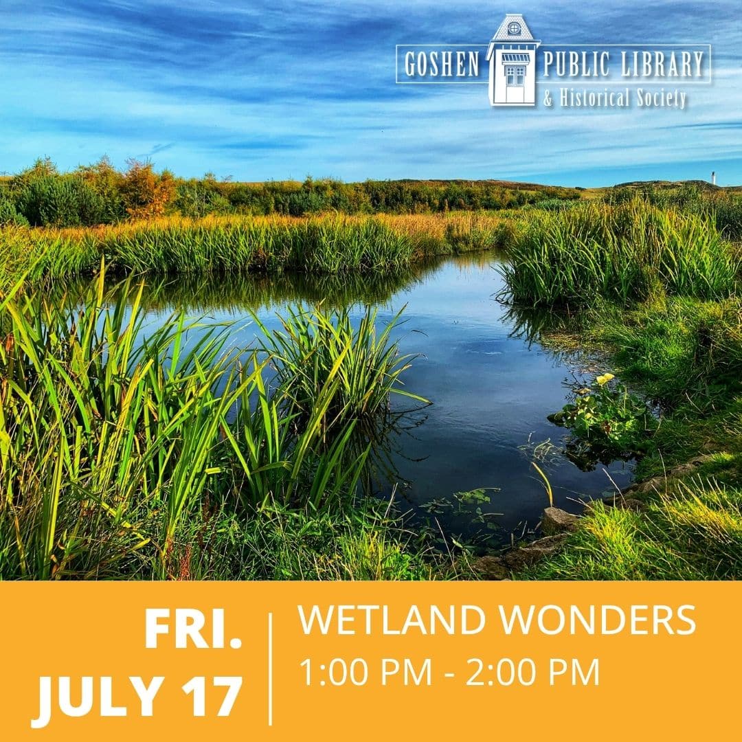 Friday July 17 - Wetland Wonders 1:00 PM to 2:00 PM